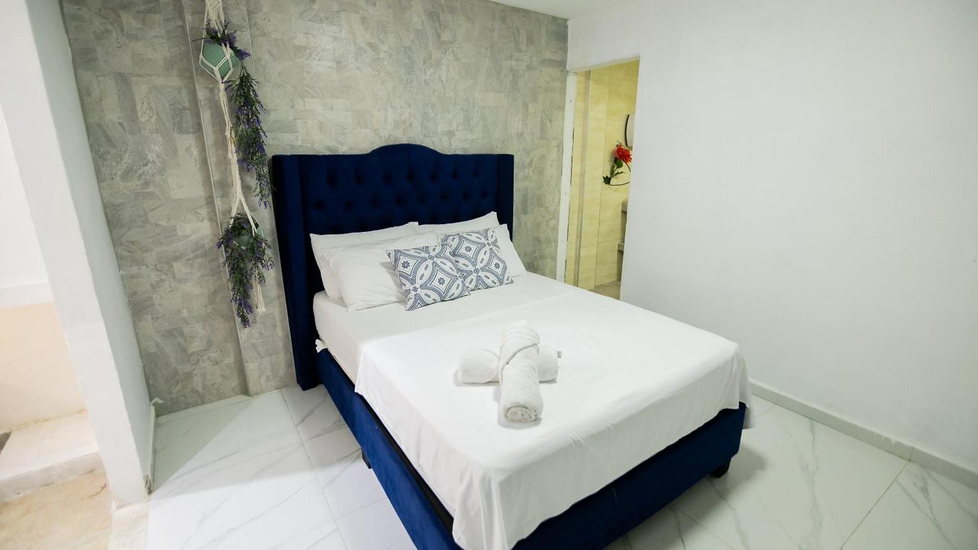Rosa Blanca Cartagena